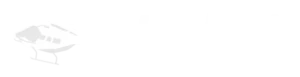 HeliAir Marbella logo blanco
