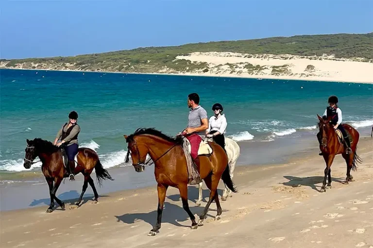 Heliair Marbella - Fly & Drive - Horseback riding Tarifa