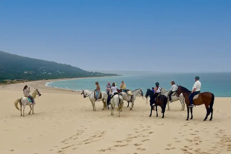 Heliair Marbella - Fly & Drive - Horseback riding Tarifa